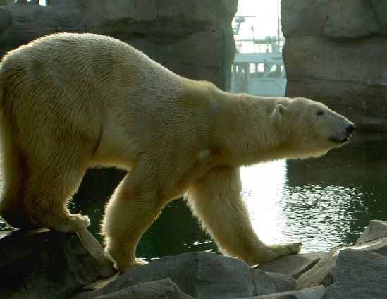 Datei:PICT2690.jpg