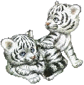 Tiger27.gif