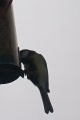Vorschaubild der Version vom 21:27, 9. Nov. 2010